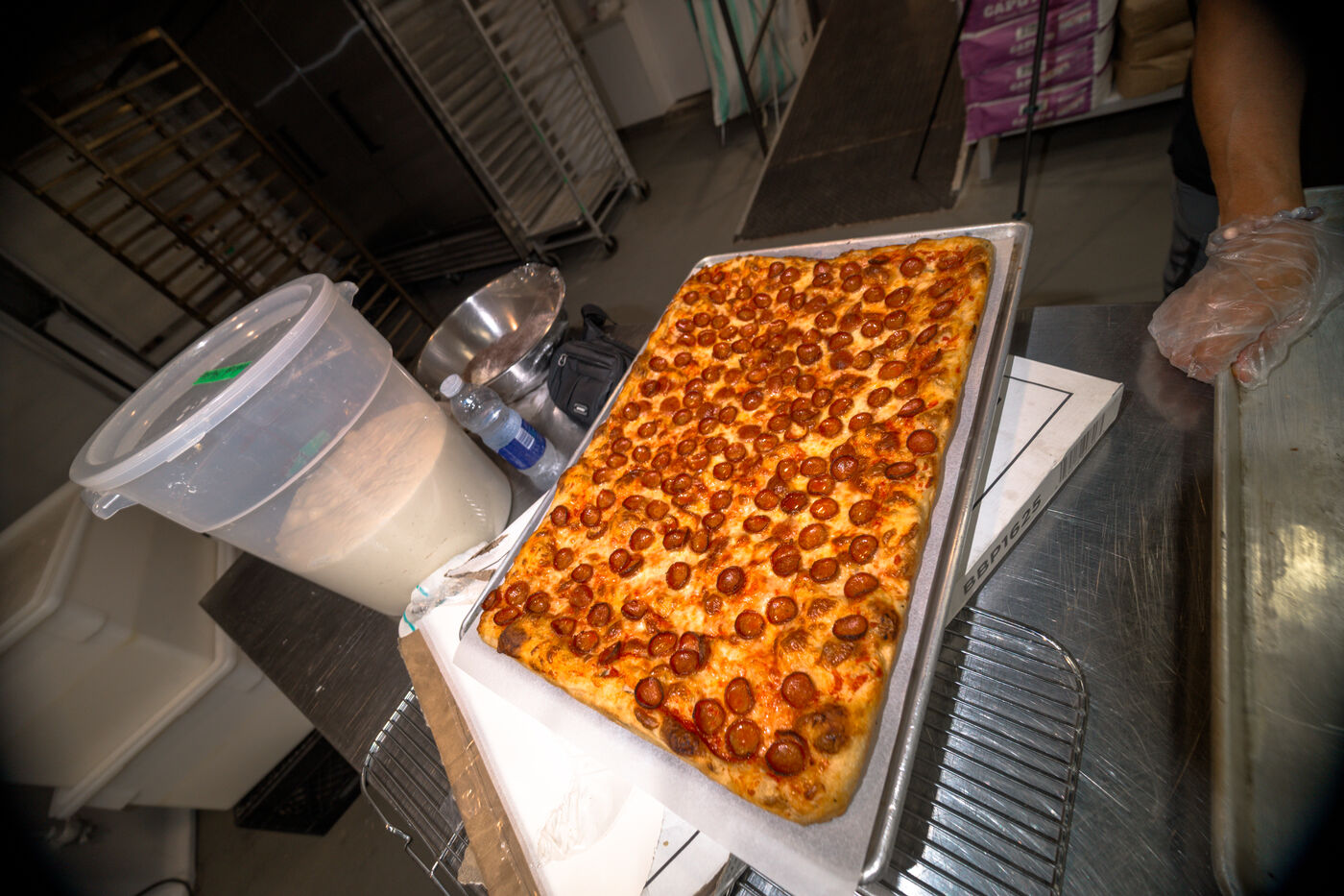 Focaccia sandwiches on the counter at Penelope Bakehouse Scarborough