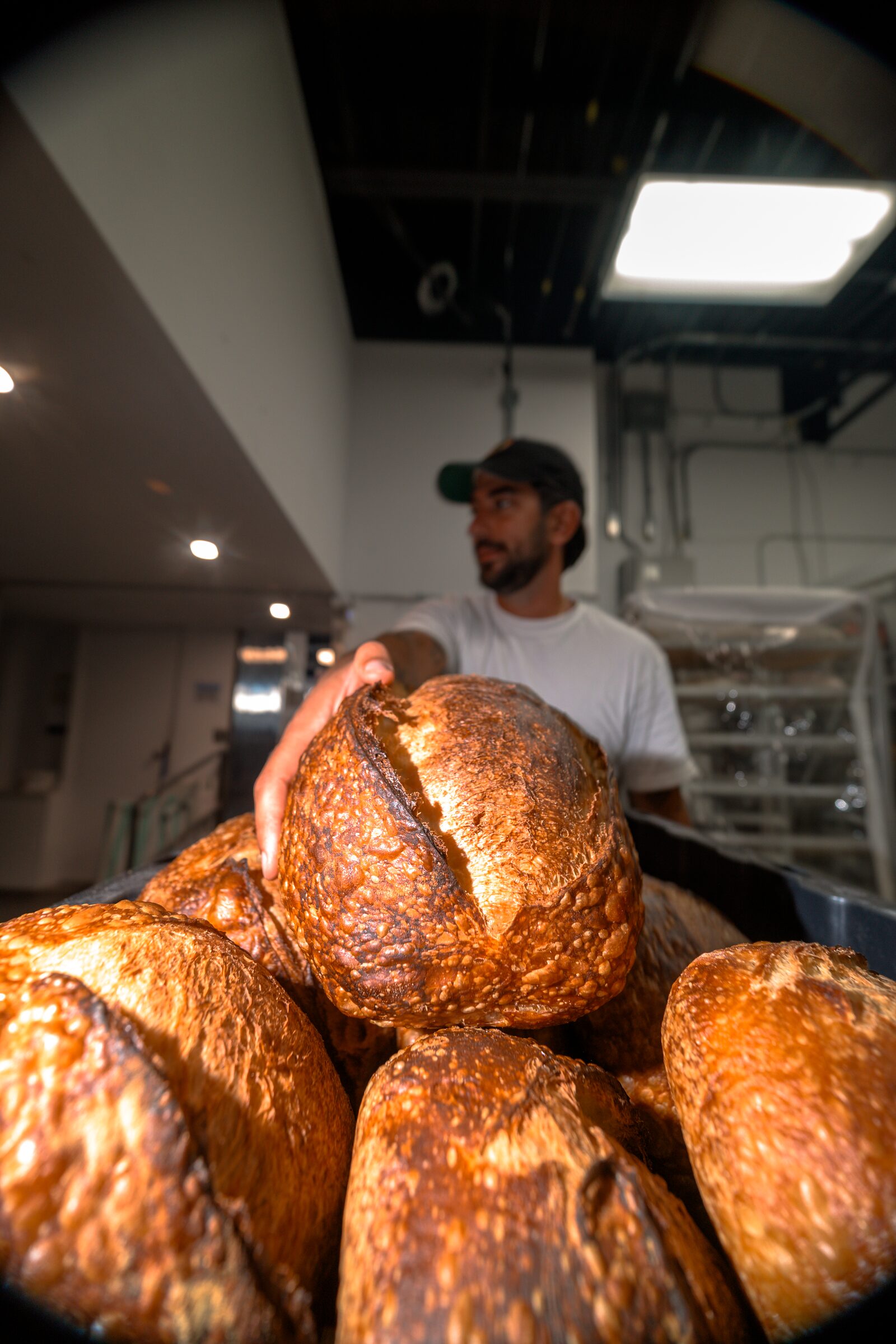 A baker holding fresh loaves at Penelope Bakehouse in Scarborough